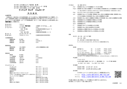 特別規則書 - JMRC中国