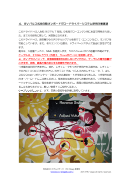 4．8V パルス式全自動オンボードグロードライバーシステム - RC