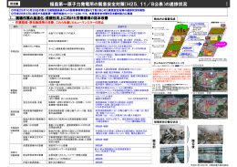 福島第一原子力発電所の緊急安全対策（H25．11／8公表