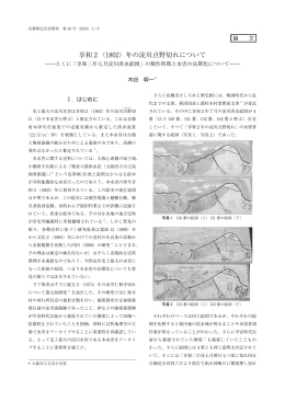 享和2（1802）年の淀川点野切れについて