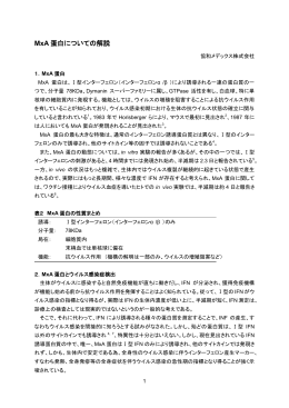 MxA 蛋白についての解説