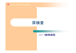 尿検査 - ハート 動物病院
