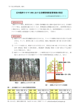 庄内海岸クロマツ林における目標管理密度管理表の策定