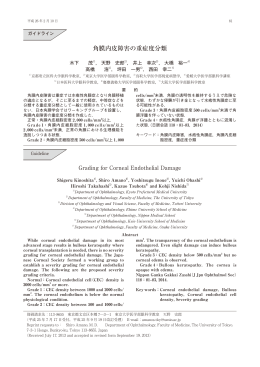 角膜内皮障害の重症度分類
