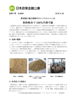 粉砕籾米で 100％代替可能