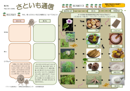 第2号 おいも畑クイズ さといも比べ 今日、掘ったさといもは2種類だよ