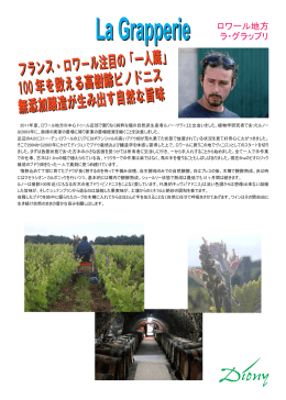 フランス・ロワール注目の「一人蔵」 100年を数える高樹齢ピノドニス 無