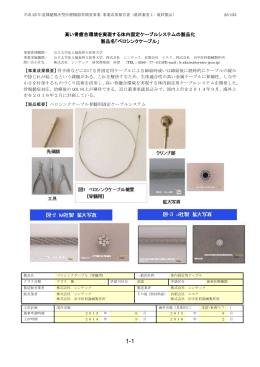 高い骨癒合環境を実現する体内固定ケーブルシステムの製品化 製品名