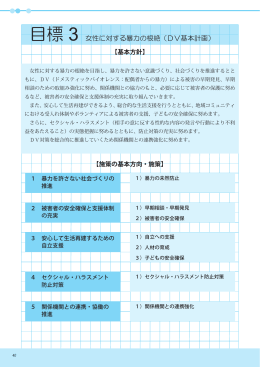 目標 3 女性に対する暴力の根絶（DV基本計画）