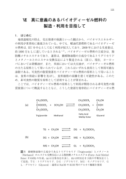 Ⅶ 真に意義のあるバイオディーゼル燃料の 製造・利用を目指して