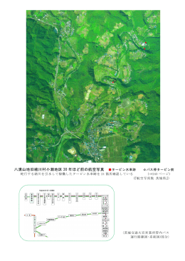 八溝山地旧緒川村小瀬地区 30 年ほど前の航空写真