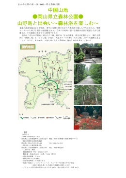 中国山地 岡山県立森林公園   山野鳥と出会い