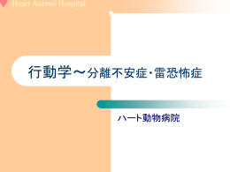 行動学∼分離不安症・雷恐怖症