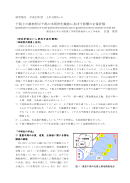 干潟上の微地形が干潟の水質浄化機能に及ぼす影響の定量評価