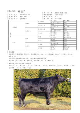 H黒-248 晴