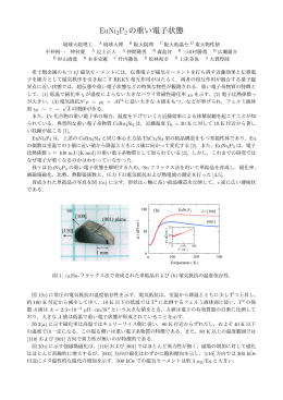 EuNi 2 P 2 の重い電子状態