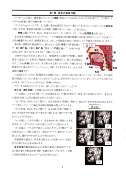 第 1章 発音の基礎知識 ? ,舌