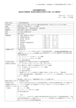 平成20年(行ケ)第10096号審決取消請求事件