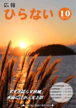 すすき揺らす秋風 水面に浮かぶ光と影