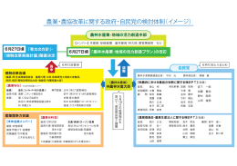 農業・農協改革に関する政府・自民党の検討体制（イメージ）