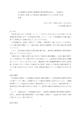 意見書全文 - 日本弁護士連合会