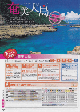 出発日カレンダー