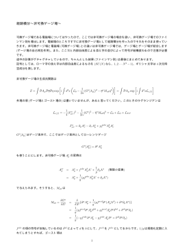 経路積分&sim;非可換ゲージ場&sim;