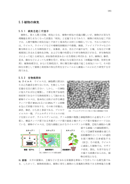 5.5 植物の病気