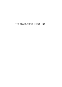工損調査業務共通仕様書（案）（PDF：384KB）