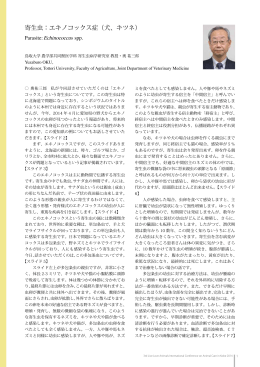 寄生虫：エキノコックス症（犬、キツネ）