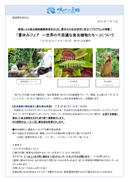 「夏休みフェア ～世界の不思議な食虫植物たち
