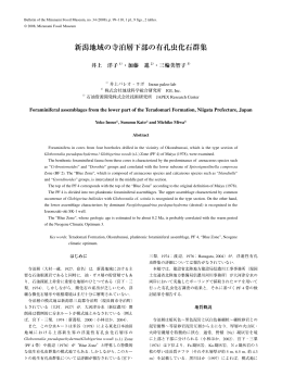 新潟地域の寺泊層下部の有孔虫化石群集
