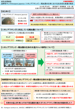 （ニホンアワサンゴ）ー褐虫藻共生体における光合成生産量の推定