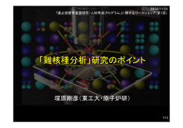 難分析核種用マイクロ分析システムの構築