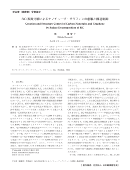 SiC 表面分解によるナノチューブ・グラフェンの創製と
