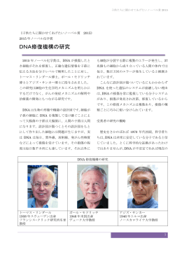 大人向けPDFダウンロード