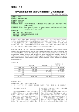 研究成果報告書 - KAKEN - 科学研究費助成事業データベース