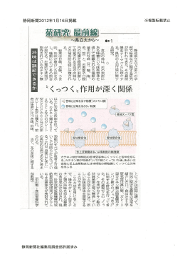 渋味は調節できるか－&ldquo;くっつく&rdquo;作用が深く関係