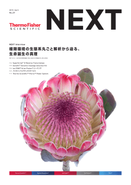 極限環境の生態系丸ごと解析から迫る、 生命誕生の真理