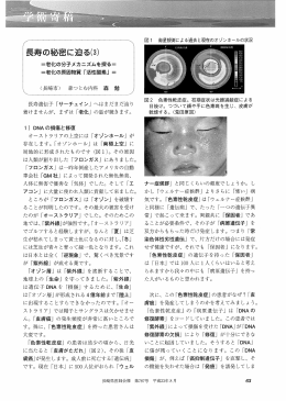 長寿の秘密に迫る(3)