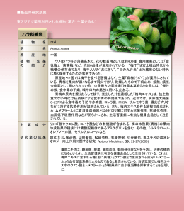 バラ科｜ ウメ Prunus mume