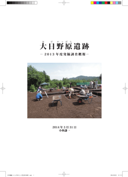 大 日 野 原 遺跡 - C-faculty