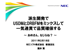 派生開発でUSDMとDRBFMをミックスして