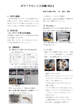 ボウフラたいじ大実験 NO.2