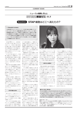 STAP細胞はどこへ消えたの？ - The Japan Times ST オンライン