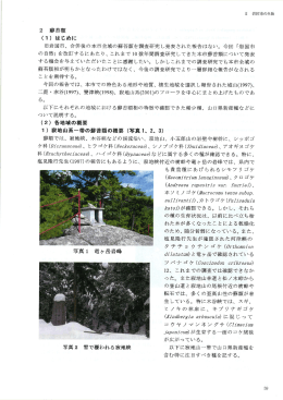 旧岩国市、 合併後の本市全域の蘇苔類を調査研究 し発表された報告は