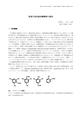 新規可逆的脱炭酸酵素の探索