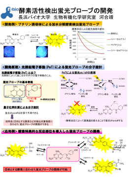 酵素活性検出蛍光プローブの開発