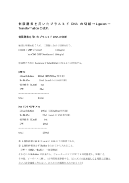 制限酵素を用いたプラスミド DNA の切断 &rarr; Ligation &rarr; Transformation