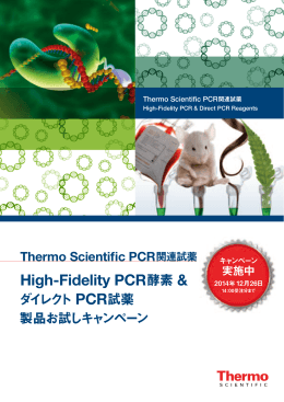 High-Fidelity PCR 酵素 &